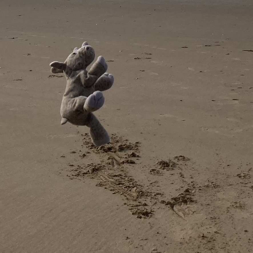May on the calendar. Ronnie comes into land after jumping for joy on a sandy beach on the North Wales coast. The photo makes it look as though he is dancing.
