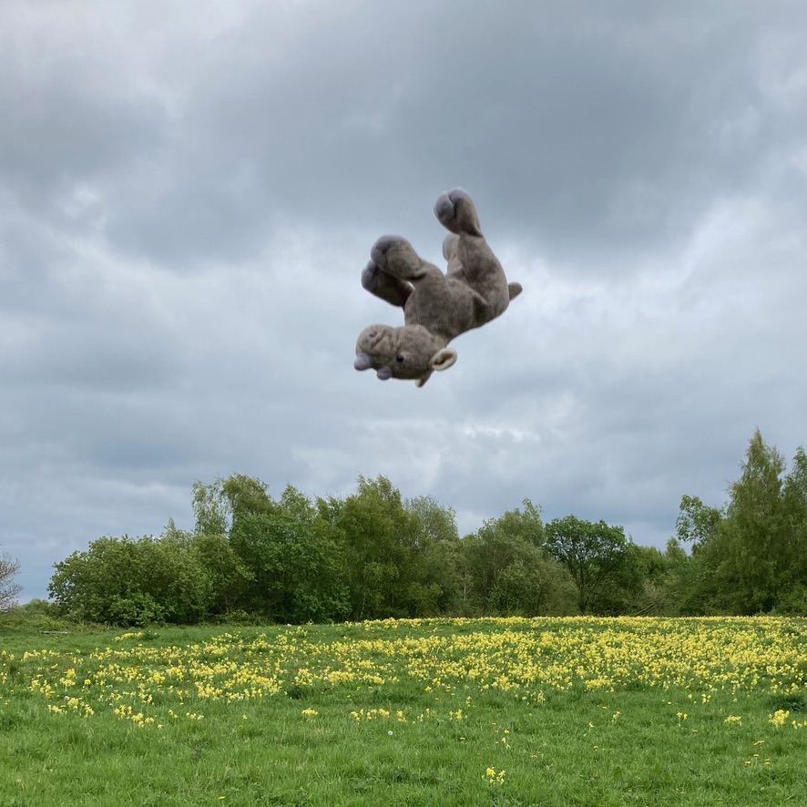 March on the calendar. Ronnie jumps for joy and turns a somersault at a local common. The sky is cloudy grey and the grass is peppered with yellow cowslips.