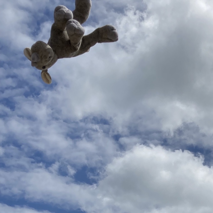August on the calendar. Ronnie jumps for joy at the North Wales coast. The sky is blue with white cloud.